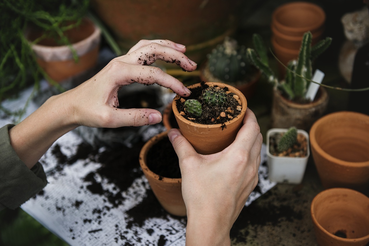 The Power of XRF Soil Testing: How It 's Revolutionizing Environmental Analysis (باللغة الإنجليزية)